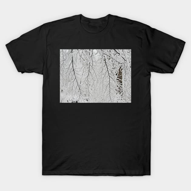 Winter Lace T-Shirt by AlexaZari